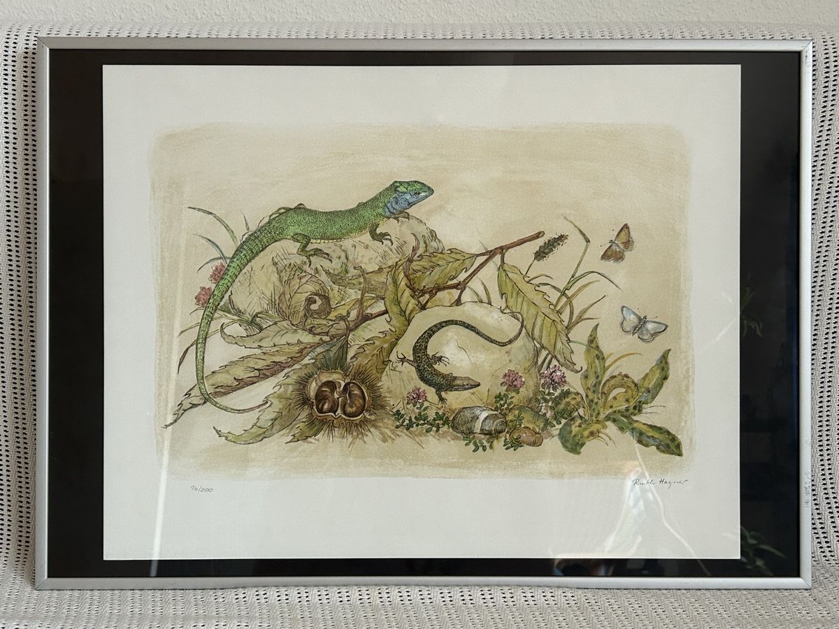 Grafica & Litografie: Nummerierte Lithografie mit Eidechsen / Ruth Hagner – Usato da Himmelried venduto da rasmus67
