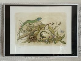 Nummerierte Lithografie mit Eidechsen / Ruth Hagner