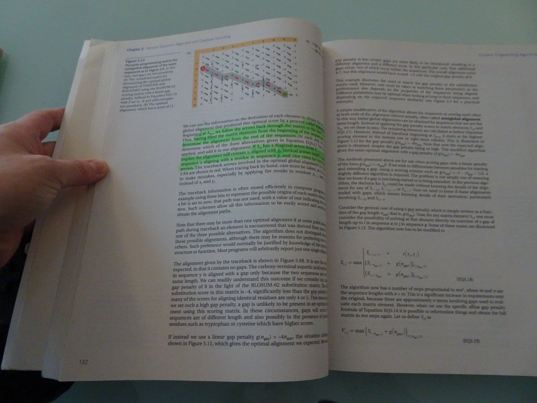 Bücher: Understanding Bioinformatics – Gebraucht aus Bern von Maronn 3