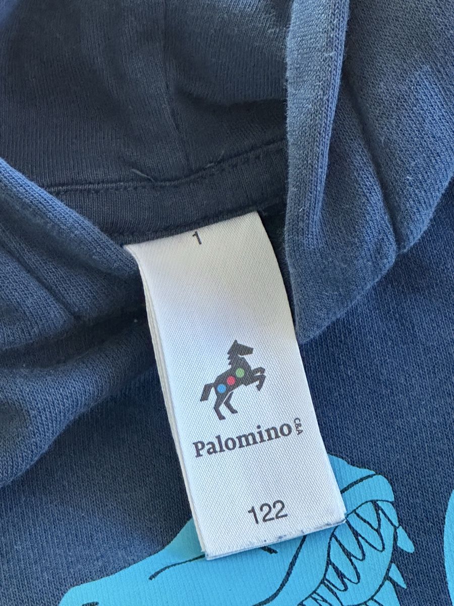 Maglioni & Felpe: Kapuzenpullover Palomino Dinosaurier Grösse 122 – Usato da Esslingen venduto da mar_78x2 3