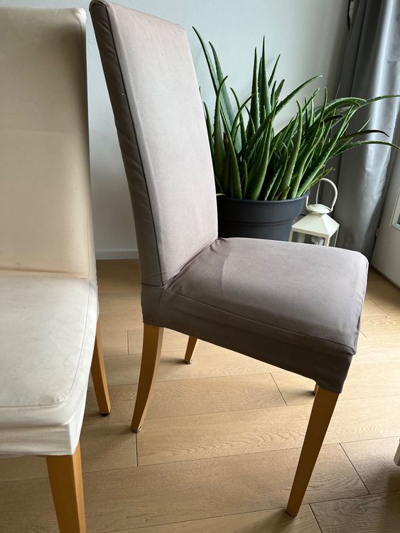 Esszimmerstühle 6 Stück Kaufen auf Ricardo