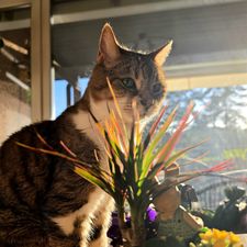 Profile image of Debby9119