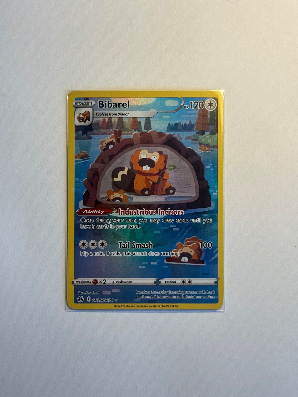 Pokémon Carte collezionabili: Pokémon Bibarel GG25/GG70 – Usato da Münsingen venduto da mar_n5jw