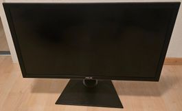 ASUS PQ321 31,5" 4K (3840×2160)