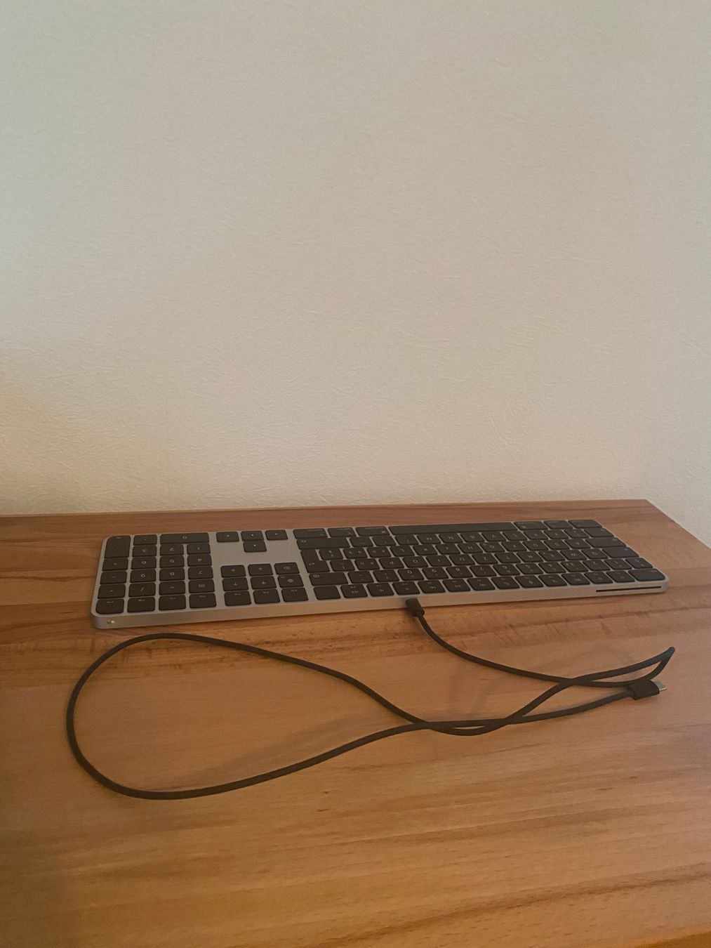Apple Tastiere: Apple Magic Keyboard Tastatur – Usato da Beckenried venduto da and_b729 2