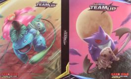 Pokemon Kartenalbum (240 Karten)