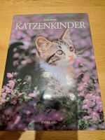 Buch Katzenkinder von Marcus Schneck Parkland Zustand gut