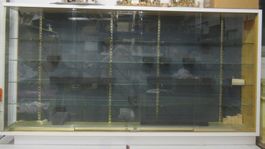 Vitrine klein