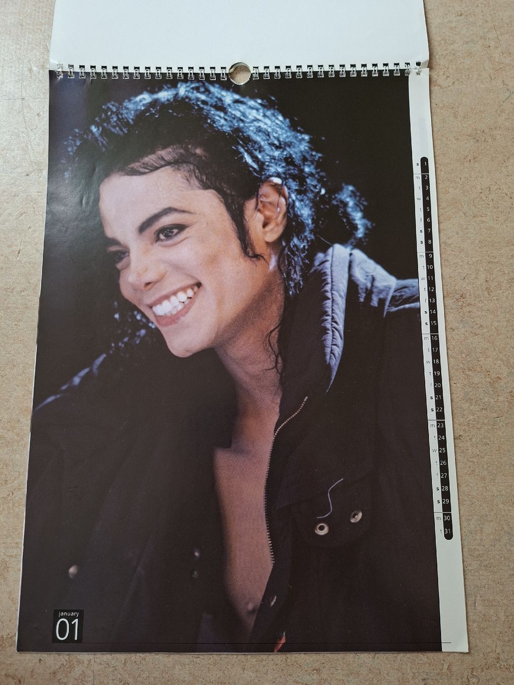 Calendari: Michael Jackson Kalender 1995, guter Zustand – Usato da Klingnau venduto da vollmond36 2