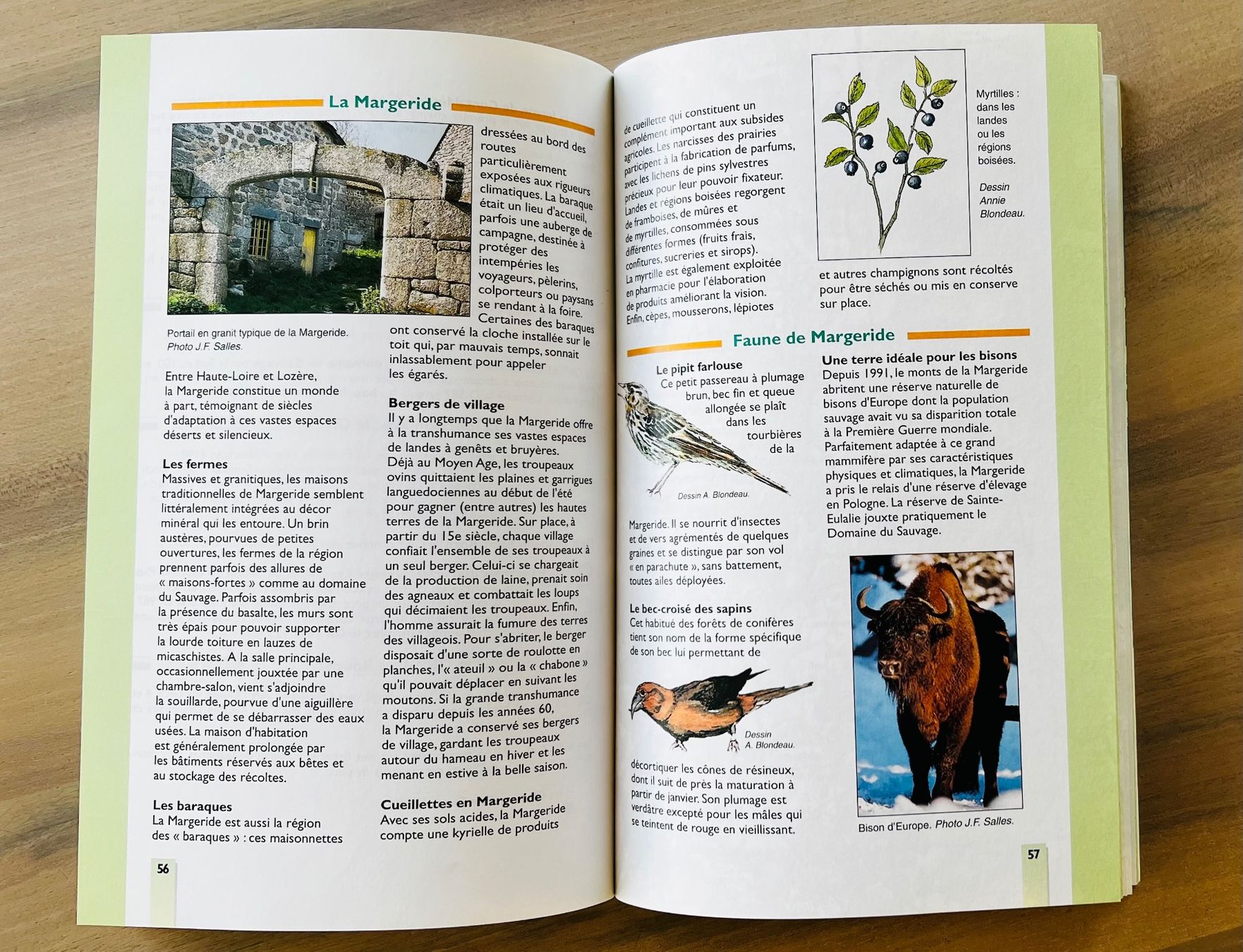 Libri: Topo-Guide Sentier de Saint-Jacques-de-Compostelle GR 65 ... – Usato da Endingen venduto da chocosweet 3