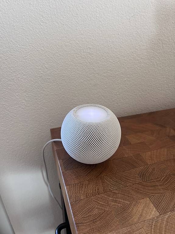 Haut-parleurs: Zwei Apple Homepod mini – D'occasion à Bern par rmul