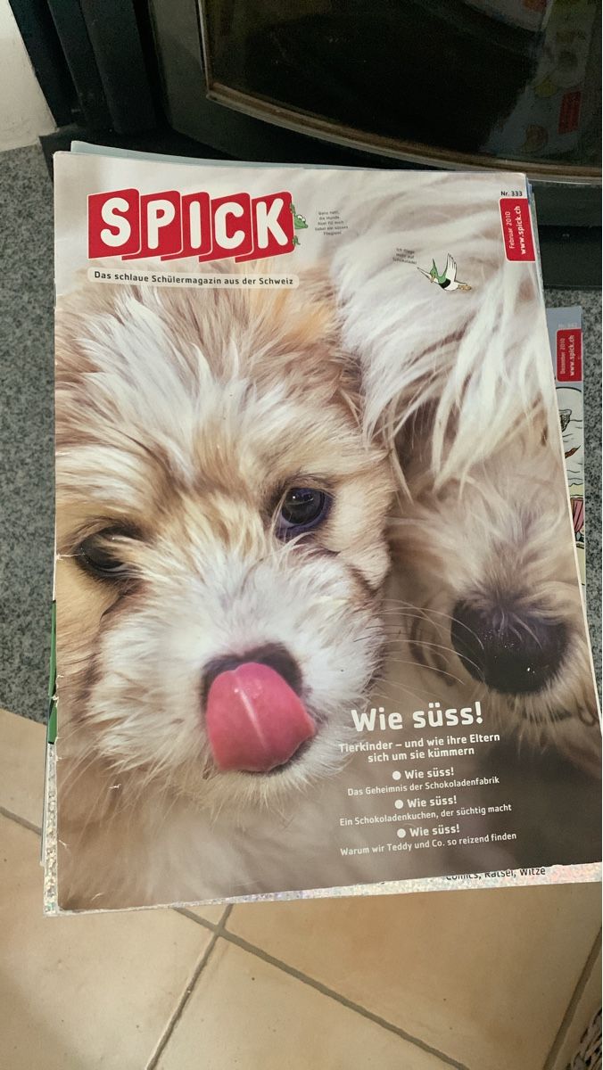 Riviste & Magazine: Spick Schülermagazine: ca 40 Stück – Usato da Greifensee venduto da GMS_CH