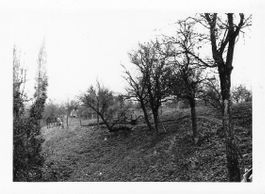 -Echtfoto Grenzbesetzung Jura 1939 - 45