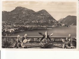 Locarno 1949