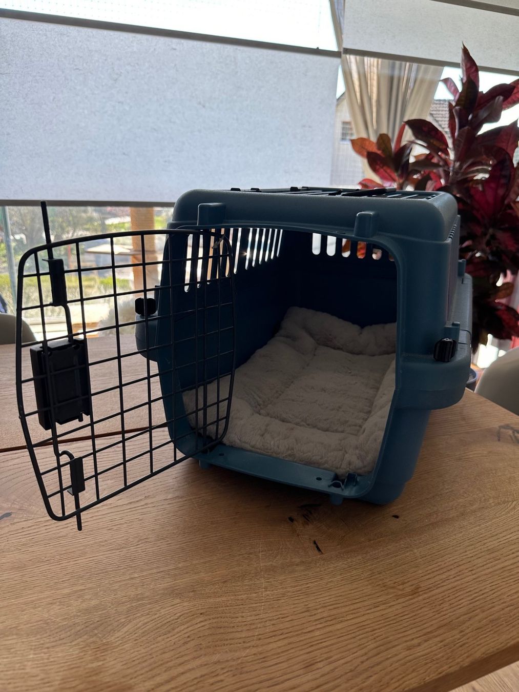 Cucce & Letti: Transportkorb für Katzen oder kleine Hunde – Usato da Hausen am Albis venduto da Snapoleon 4