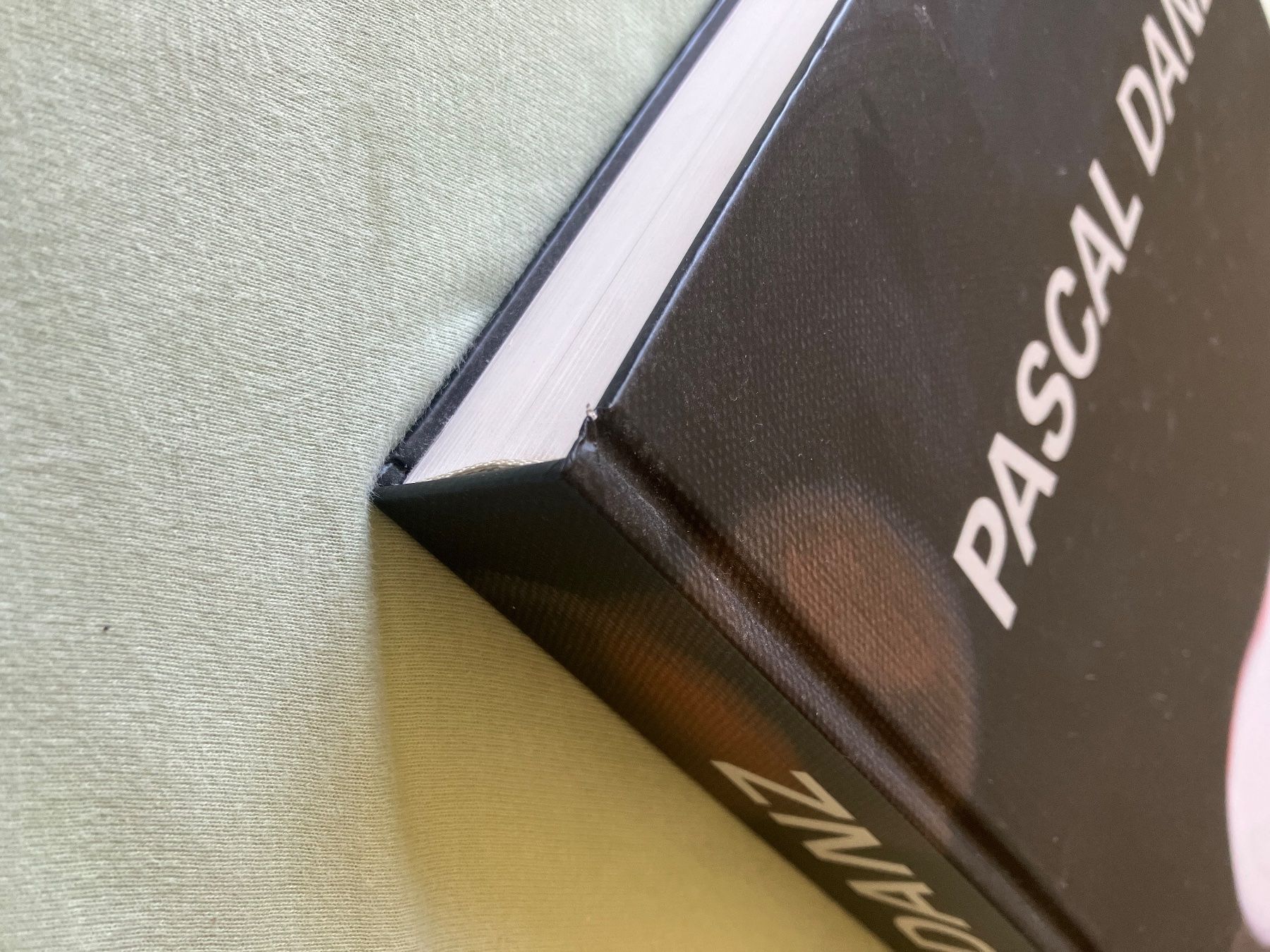 Libri: Pascal Danz Werkverzeichnis / Catalogue raisonné. – Usato da Zürich venduto da mou_j96c 7