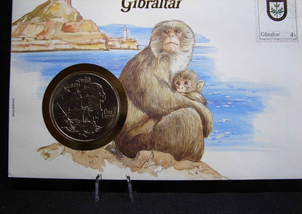 Allestimento di negozi e stand fieristici: 10 Stk. Acryl Stafetten oder Ständer -   NEU – Nuovo e nell'imballaggio originale da Schlieren venduto da Alena020_0 1