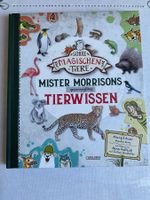Die Schule der magischen Tiere - Mister Morrisons