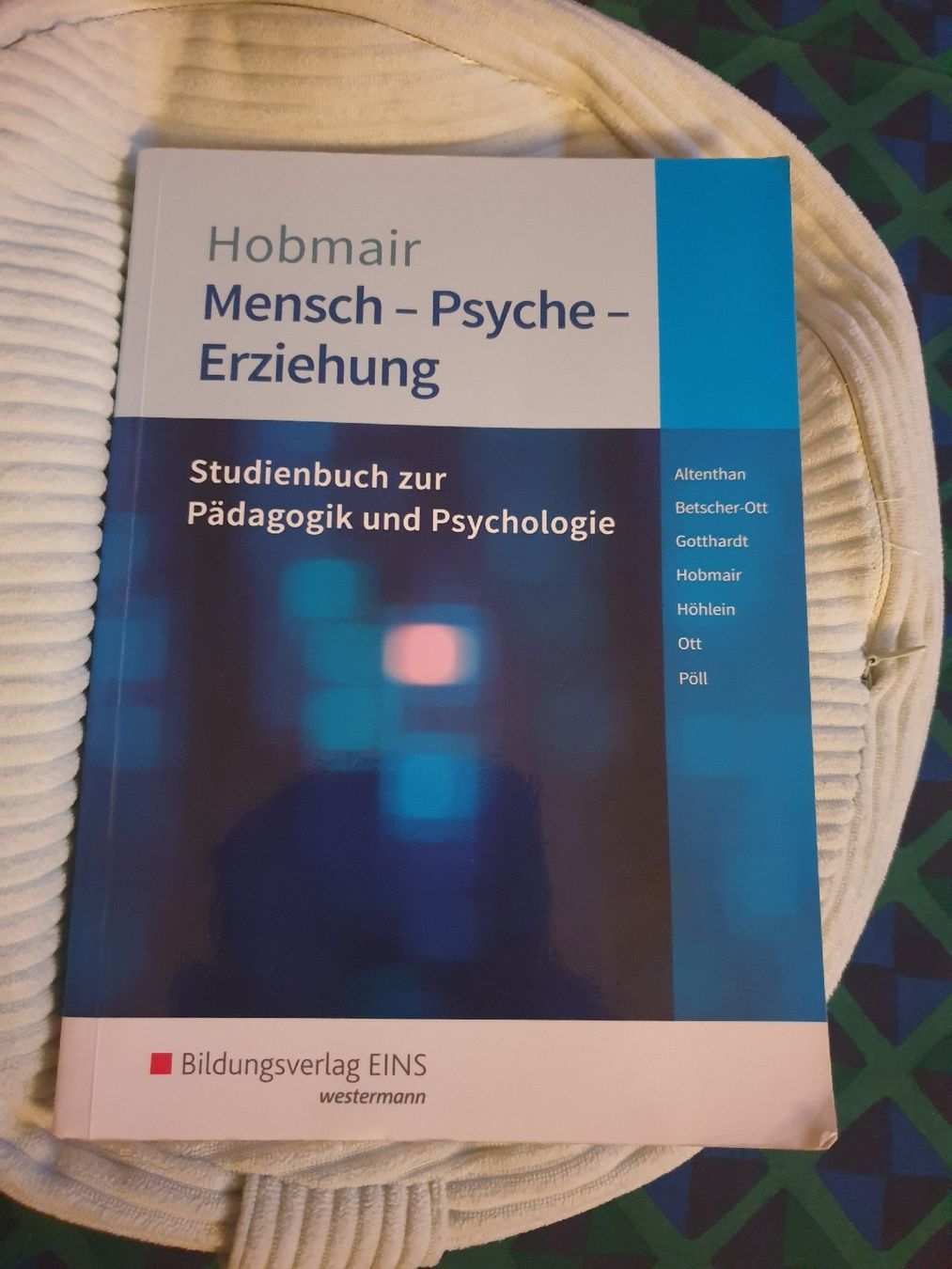 Libri: Mensch - Psyche - Erziehung Buch, Bildungsverlag Eins – Usato da Zürich venduto da yoarg