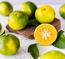 10 Samen Mapo Hybrid CITRUS x TANGELO Mandarine+Grapefruit‪