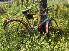 Altes Retro Fahrrad Vintage Modell defekter Zustand fli