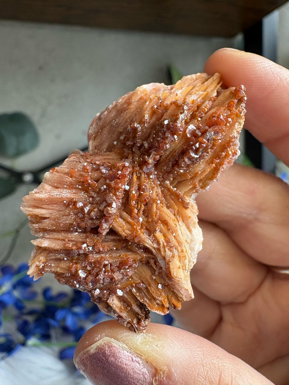 Mineralien & Heilsteine: Vanadinit auf Baryt – Neu (gemäss Beschreibung) aus Neuheim von m.hald 1