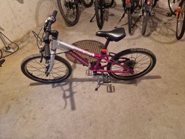 Crosswave 20 Zoll Kindervelo, ideal für den Frühling!