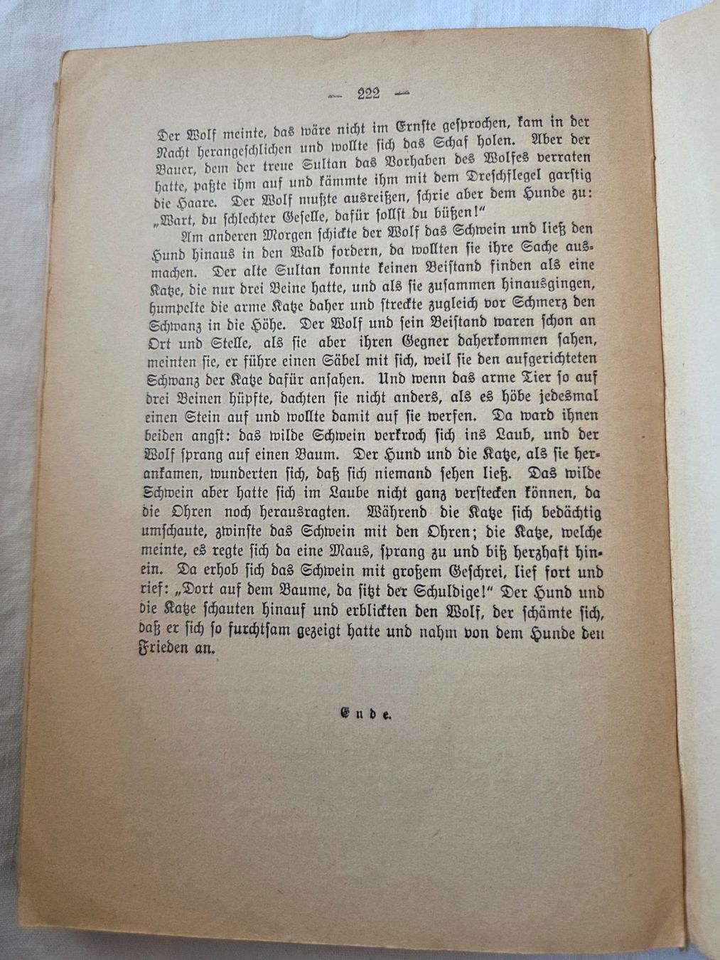 Bücher: Antikes Grimm’s Märchen Buch – Gebraucht aus Bettingen von Wedgetail-Eagle2 4