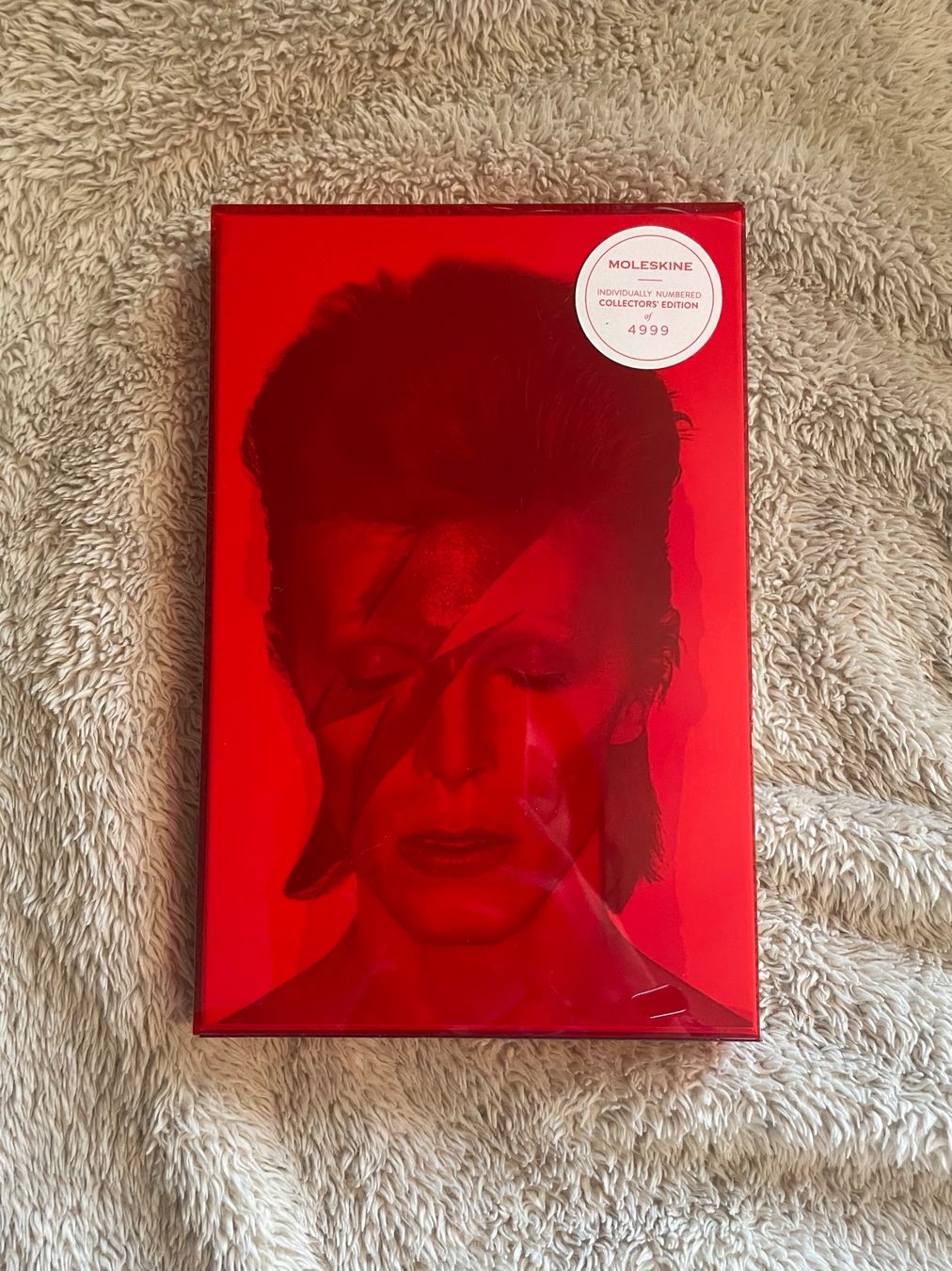 Blocchi: Moleskine David Bowie Limited Edition – Nuovo (secondo la descrizione) da Zürich venduto da mollister