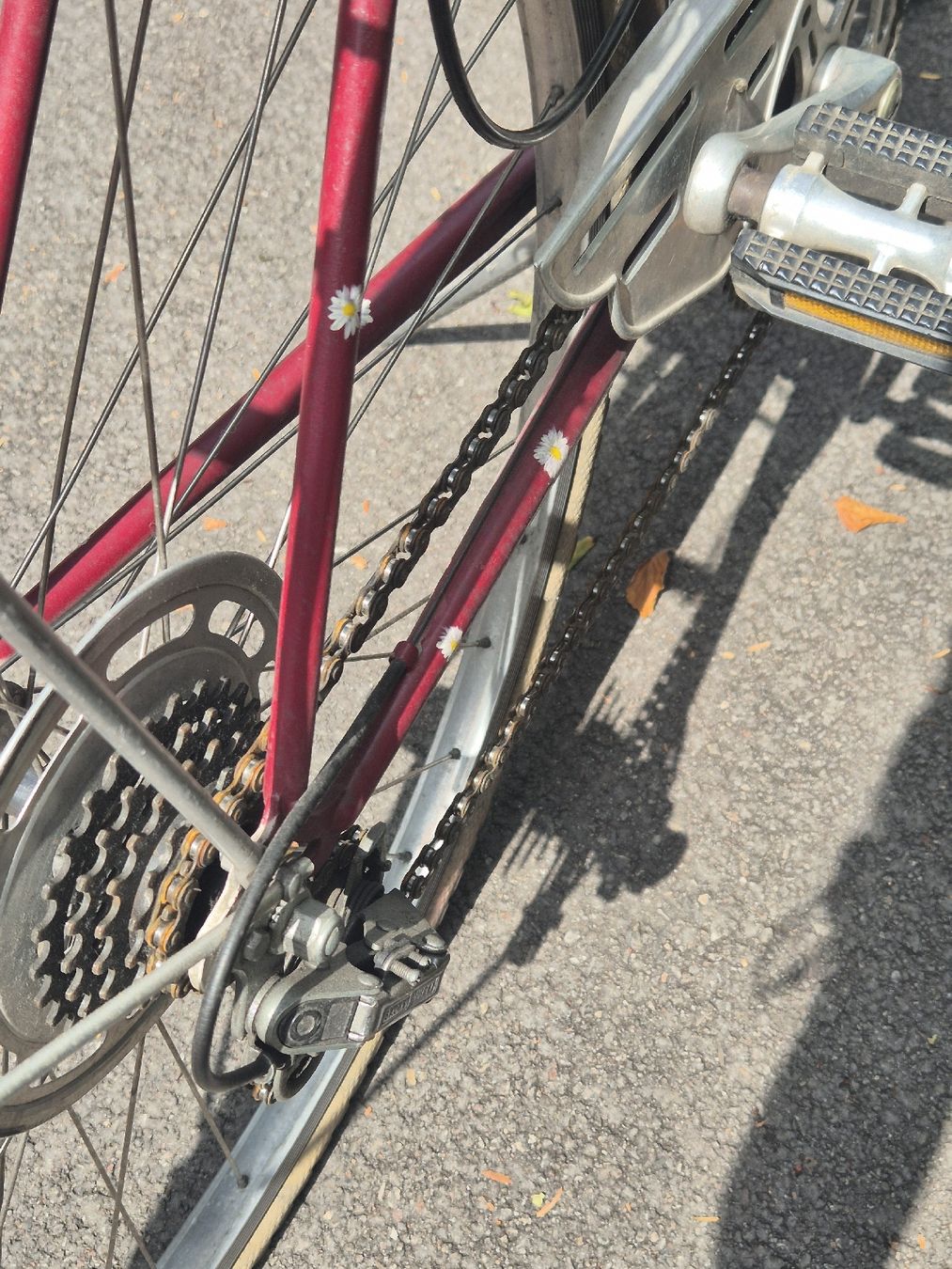 Velos: tolles Damenvelo – Gebraucht aus Basel von annalena23 6