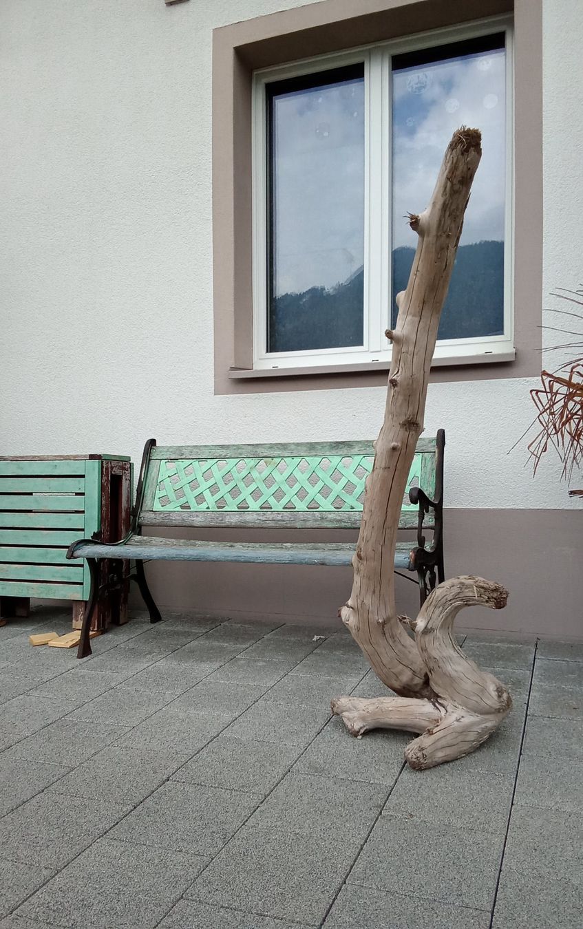 Holzartikel: Deko Holz, Schwemmholz – Gebraucht aus Mollis von gar_wqz5