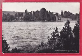 ETANG DE LA GRUÈRE, 2.7.1966 (GESTAUTER MOORSEE)