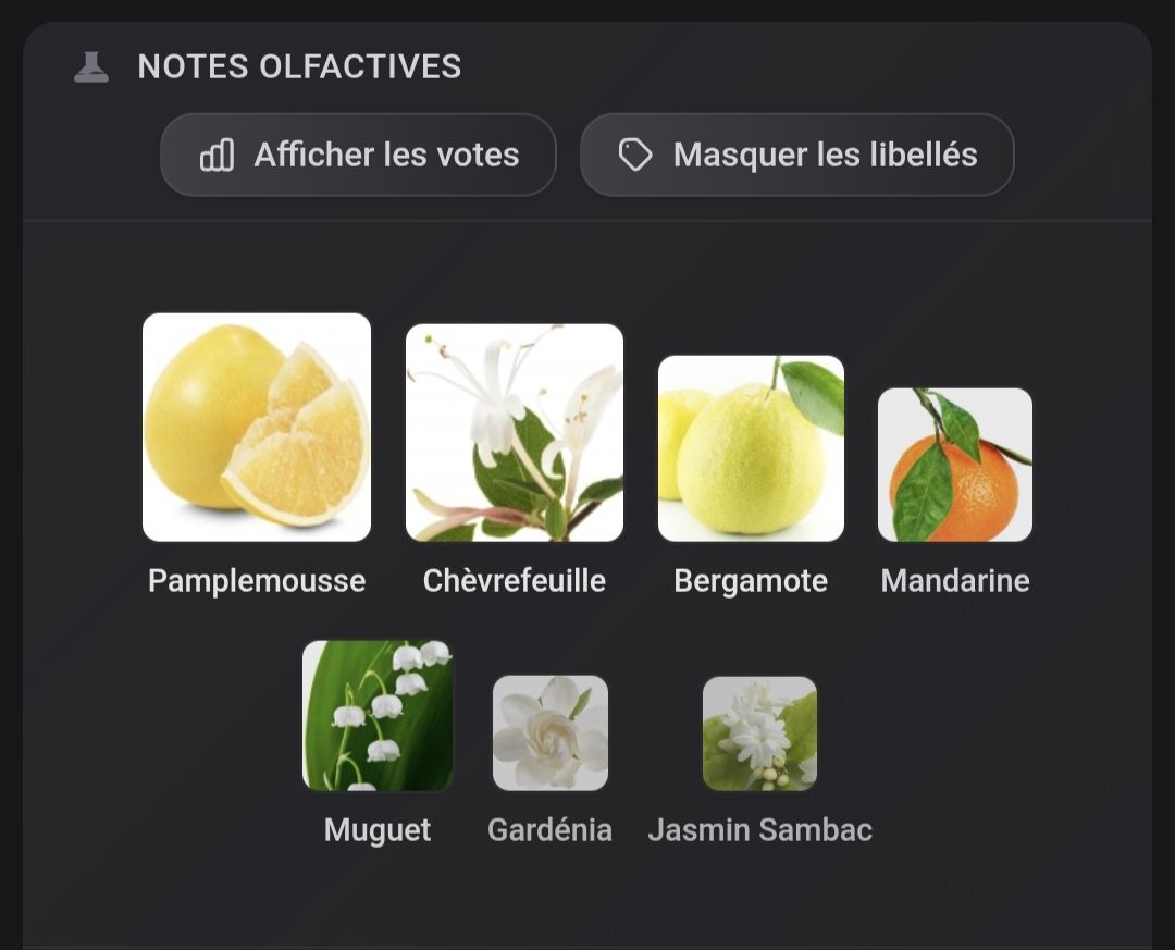 Estée Lauder Profumi & Eau de Toilette: Parfum Aerin mediterranean honeysuckle – Usato da Collonges venduto da cam_72xf 3