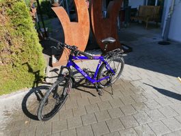 Price Velo