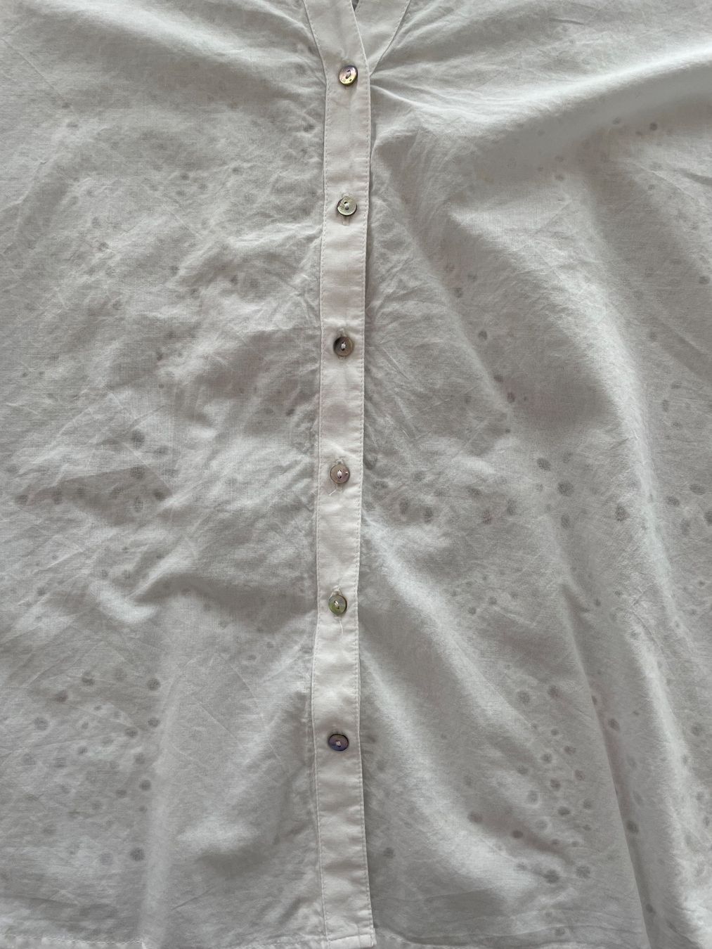 Esprit Camicette: Esprit Bluse neu – Nuovo e nell'imballaggio originale da Unteriberg venduto da fae_2gz2 2