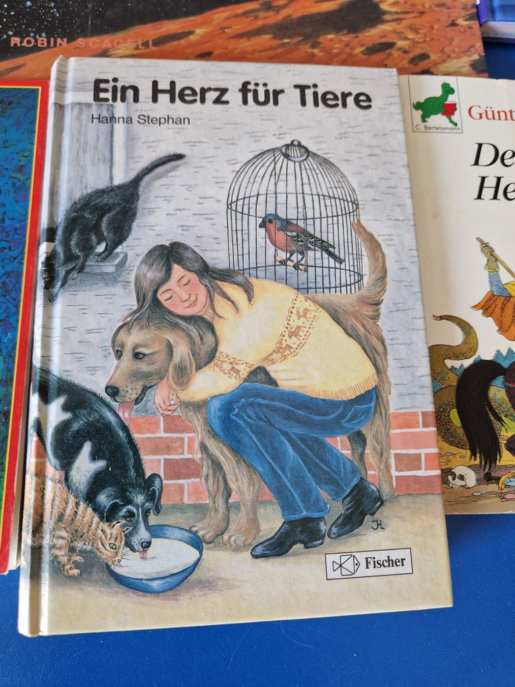 Bücher: 7 Stk. Kinder-/Jugendbücher – Gebraucht aus Münchenbuchsee von Aare22 2
