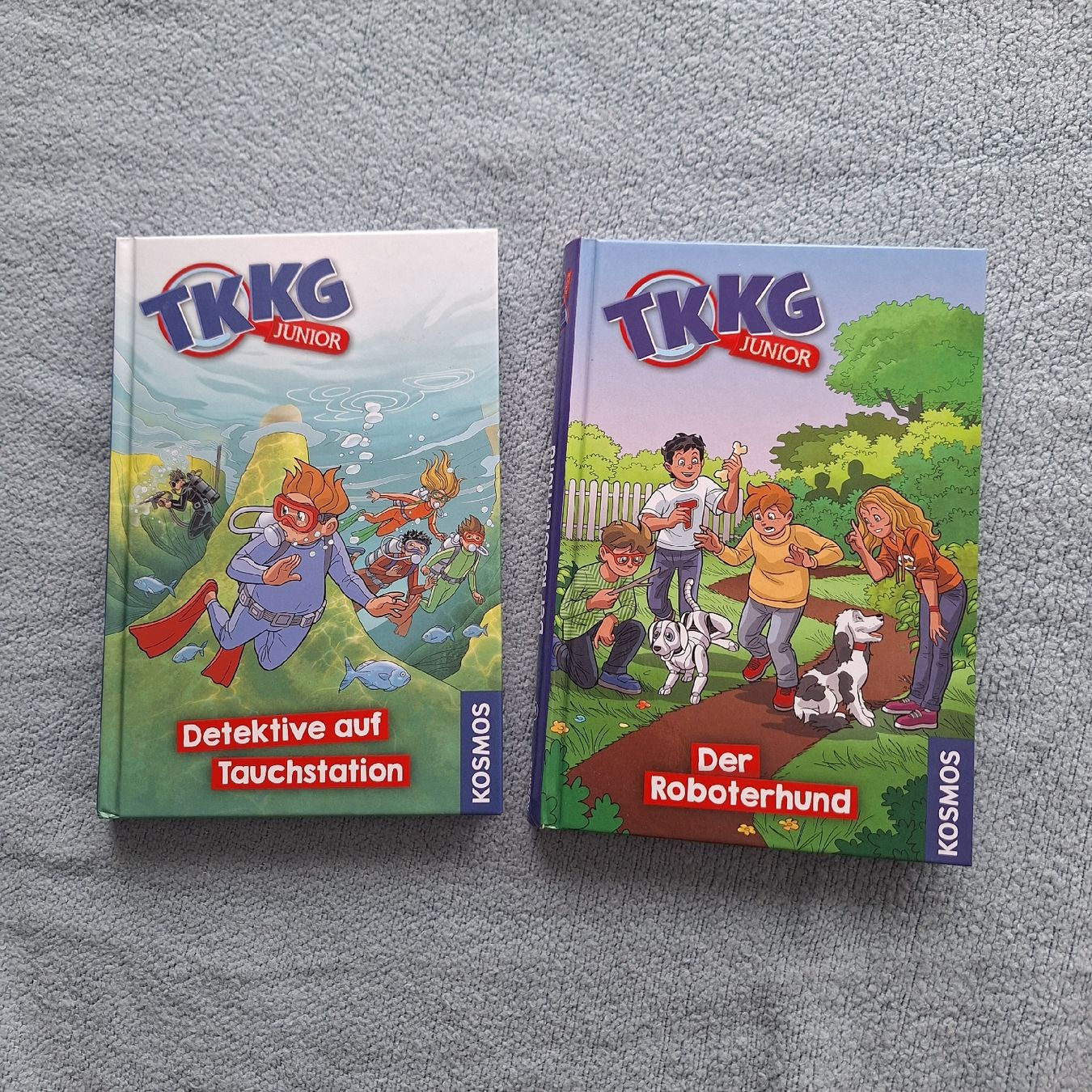 Libri: 2 TKKG-Bücher – Nuovo (secondo la descrizione) da Dachsen venduto da Luna261081