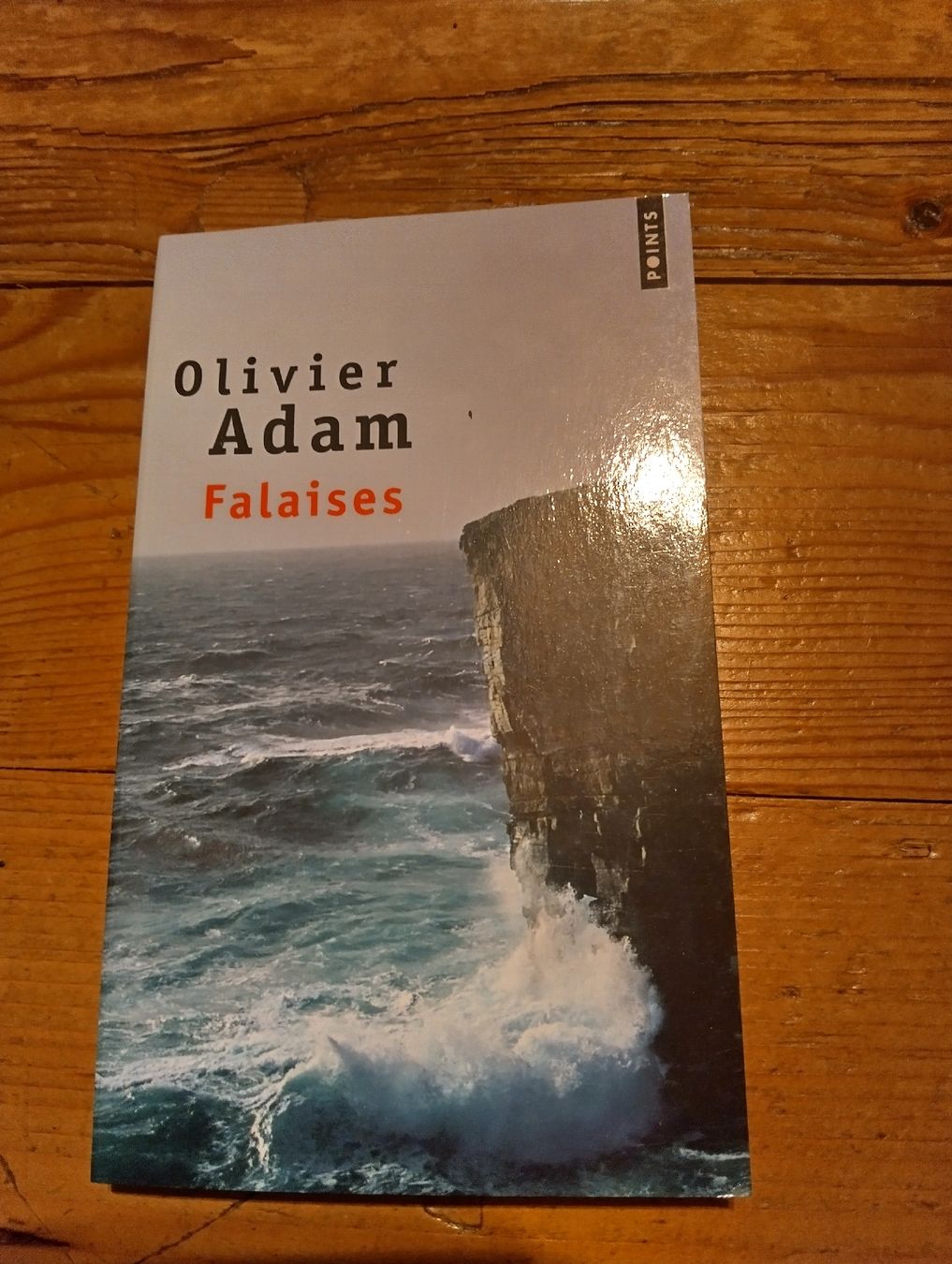 Libri: Falaises - Olivier Adam – Nuovo (secondo la descrizione) da Rüedisbach venduto da aendu010