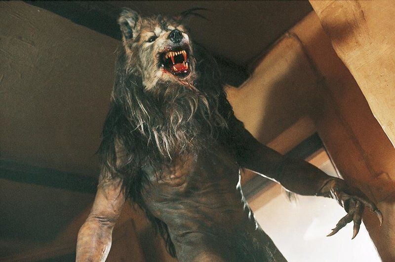 Tutti i DVDs: DOG SOLDIERS (2002) – Usato da Gelterkinden venduto da Tri-Tra-Trallala 6