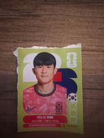Panini WM 26