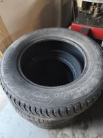 Winterreifen Nexen Wing Guard 195/65R15