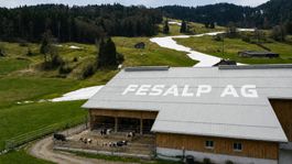 Trapezblech/ Holzabdeckung/ Scheunendach/Restposten