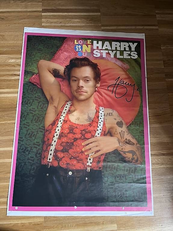 Foto & Immagini: 4 Harry Styles Poster – Usato da Zürich venduto da lia_szs8 2