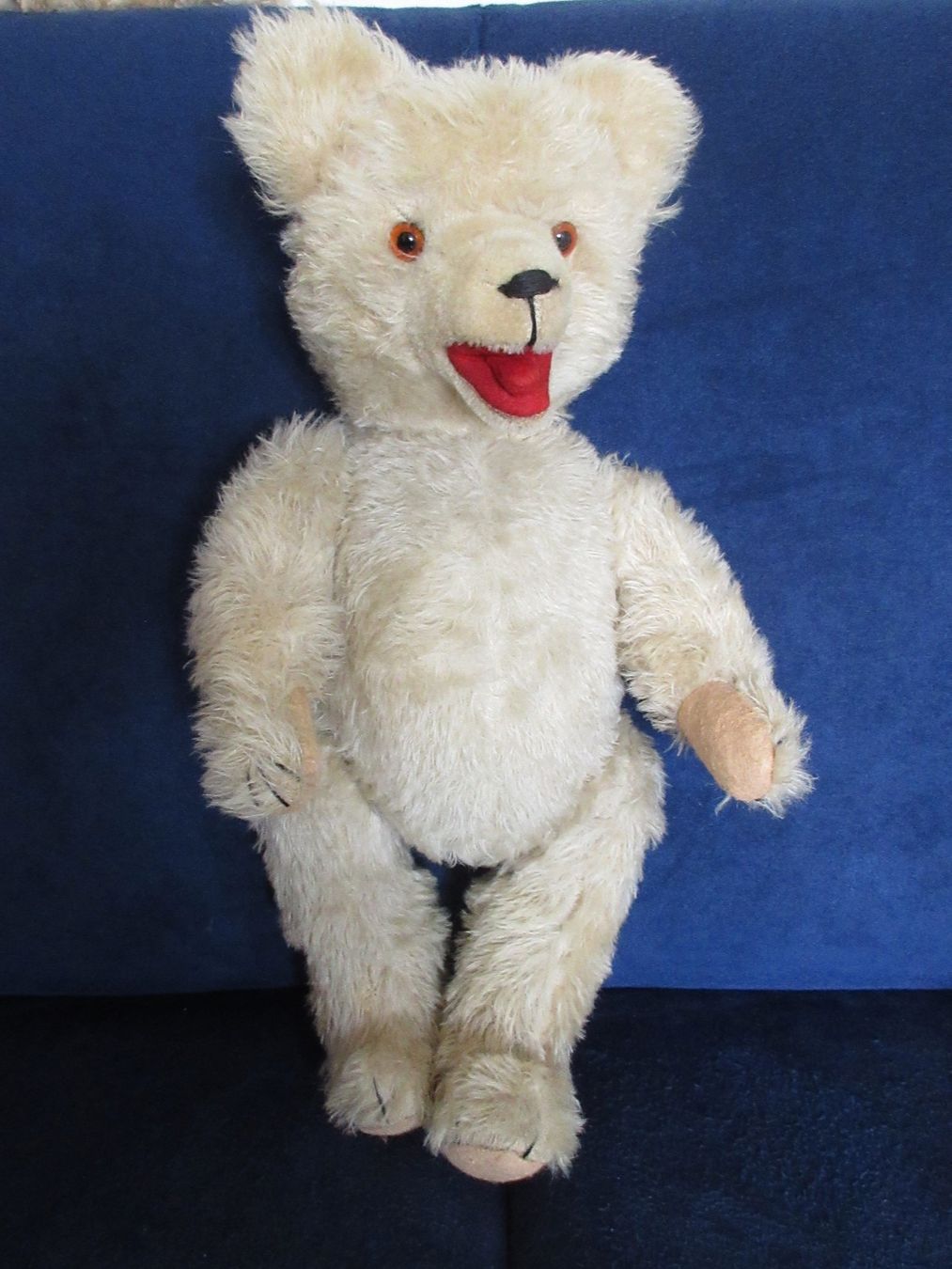 Angus is a traditional mohair artist teddy bear by Barbara Ann Bears