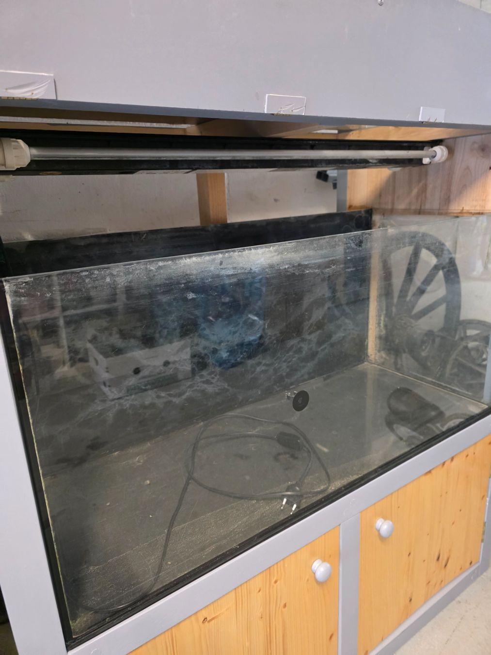 Acquari: Aquarium Turm – Usato da Triengen venduto da Pii-Ke 4