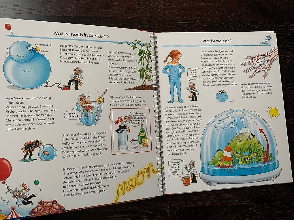 Libri: Experimentieren und entdecken – Usato da Löhningen venduto da Divemisli 3