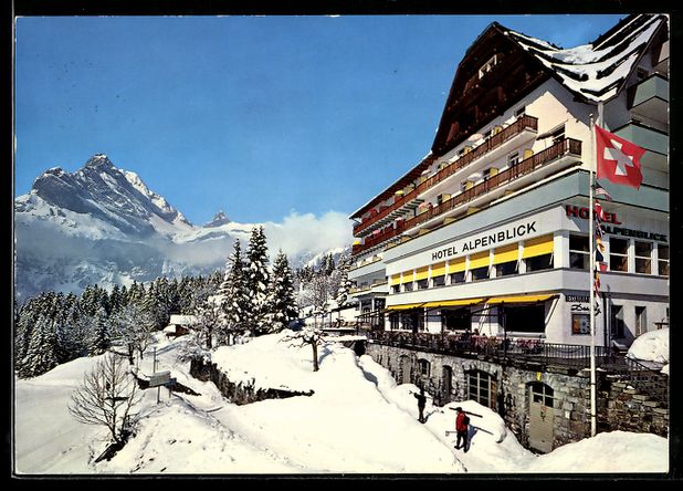 Cartoline postali: AK Braunwald, Hotel Alpenblick – Usato da Berlin venduto da bartko-reher