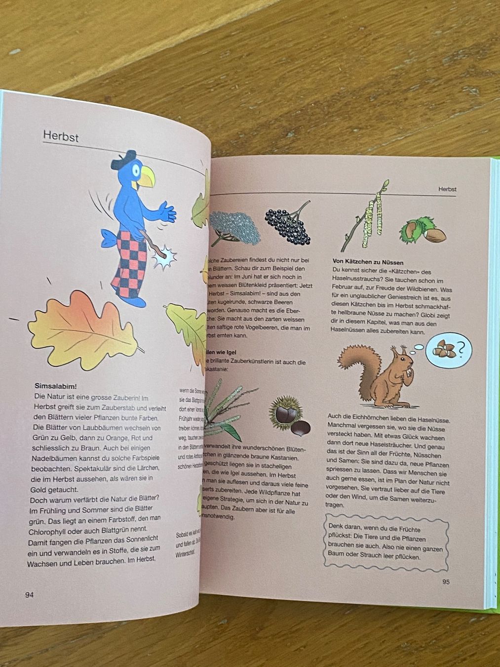 Bücher: GLOBIS WALD UND WIESENKOCHBUCH – Neu (gemäss Beschreibung) aus Zürich von Fashionparade 4
