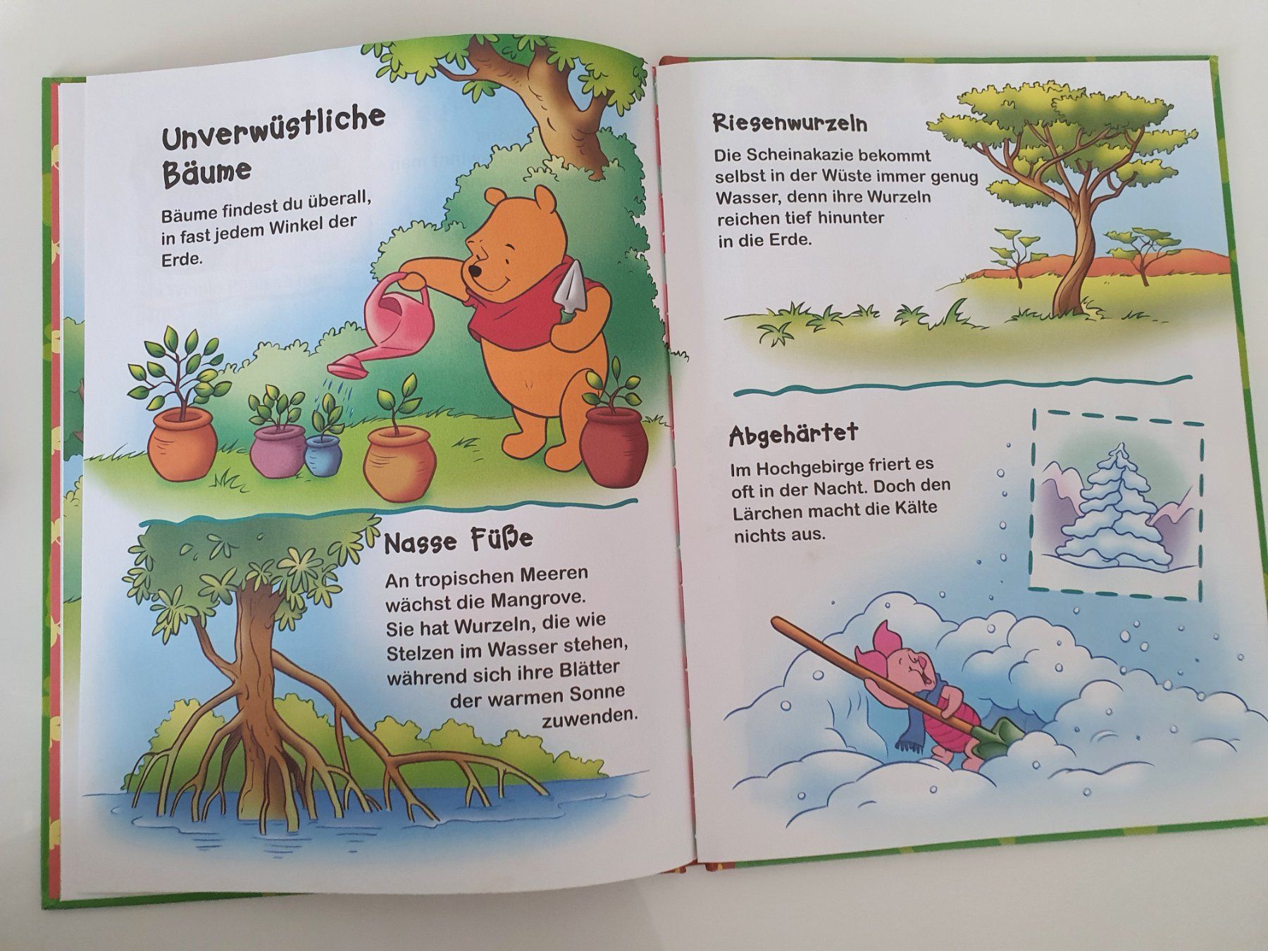 Libri: Winnie Puuh - Entdecke Bäume / Disney – Usato da Oberdorf BL venduto da BaldenEagle 2