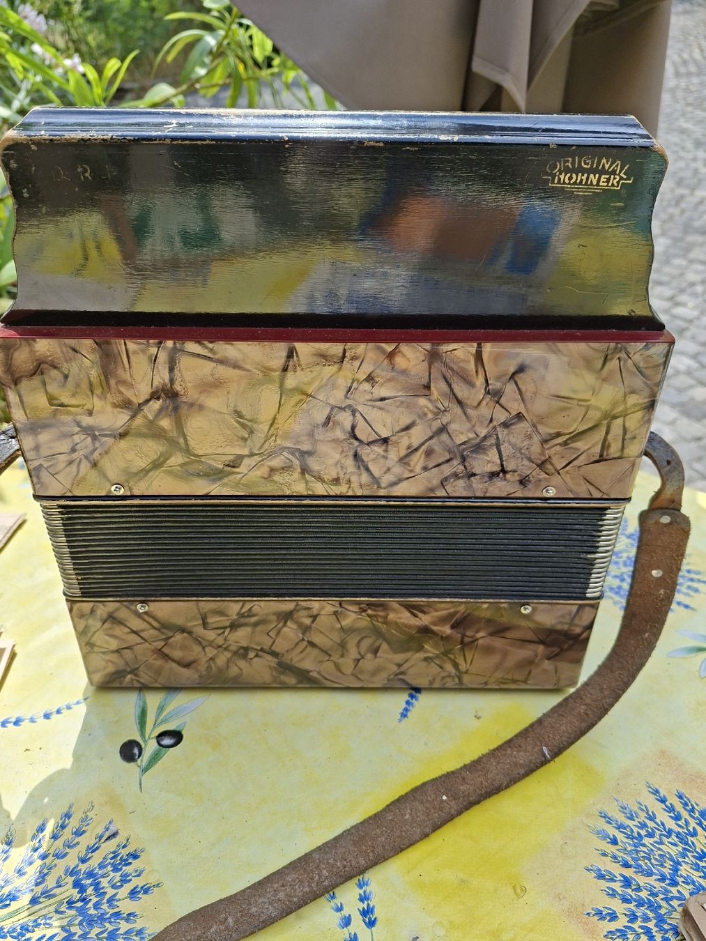 Hohner Strumenti musicali: Hohner Handorgel mit Noten und Tasche – Difettoso da Gasel venduto da cher01 2